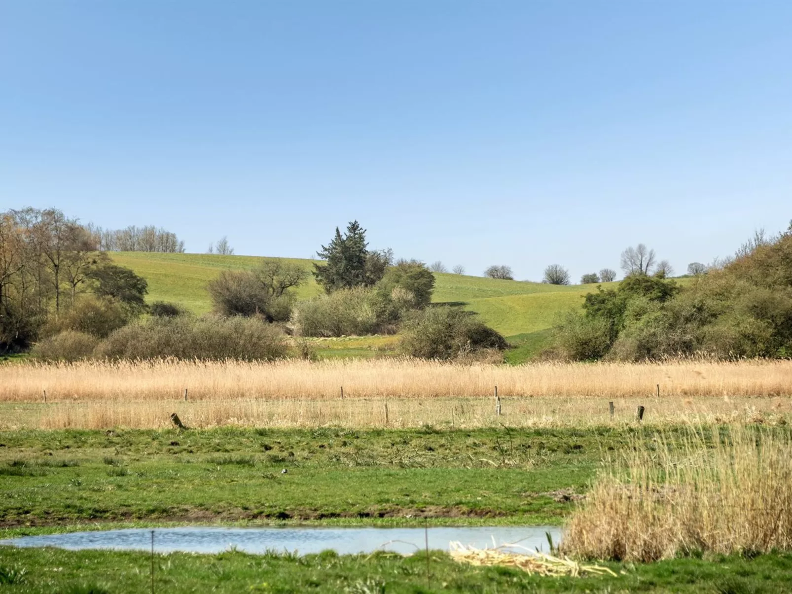 "Skak" - 100m from the sea-Buiten