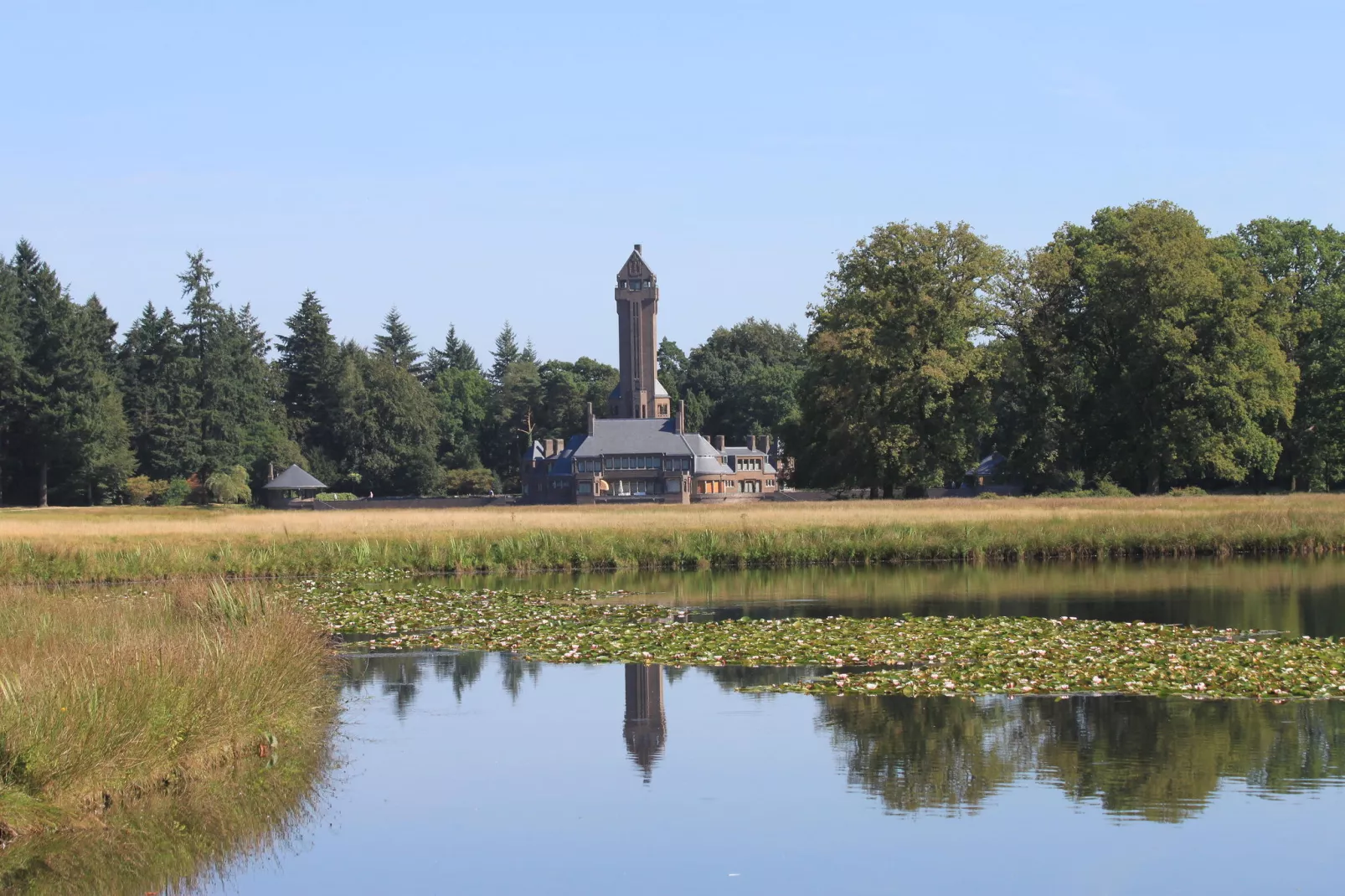 De Veluwse Vrijheid-Gebieden zomer 20km