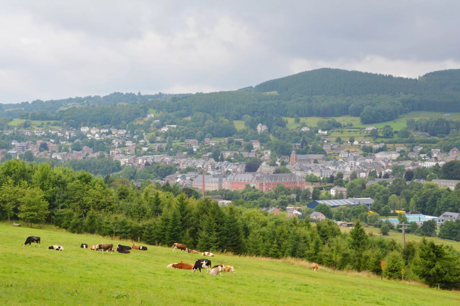 Schell-Gebieden zomer 20km