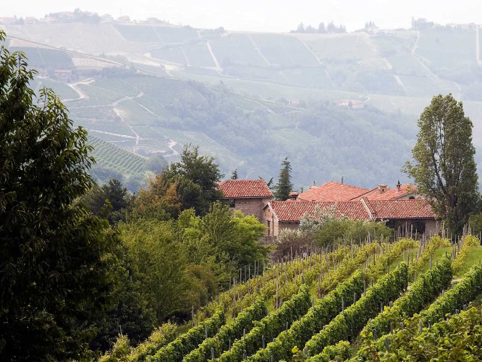 Antico Borgo del Riondino-Buiten