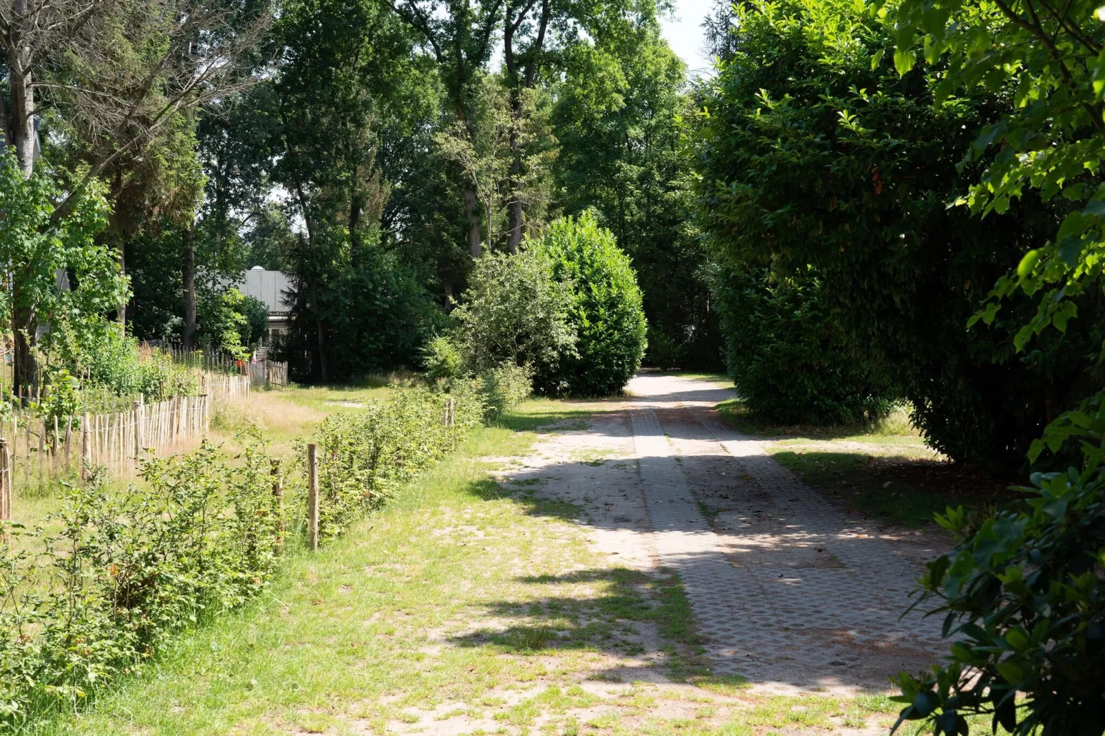 Bungalow Robertsoord 4-Gebieden zomer 1km