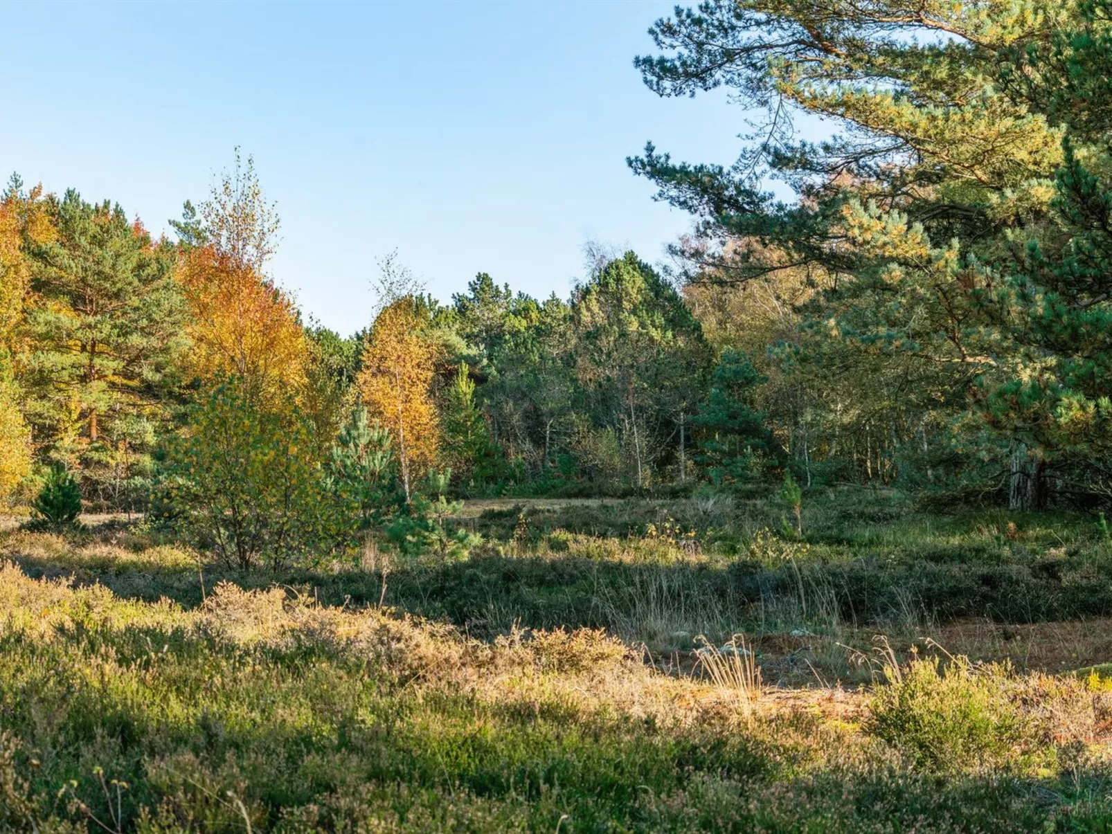 "Helmtrud" - 500m from the sea-Buiten