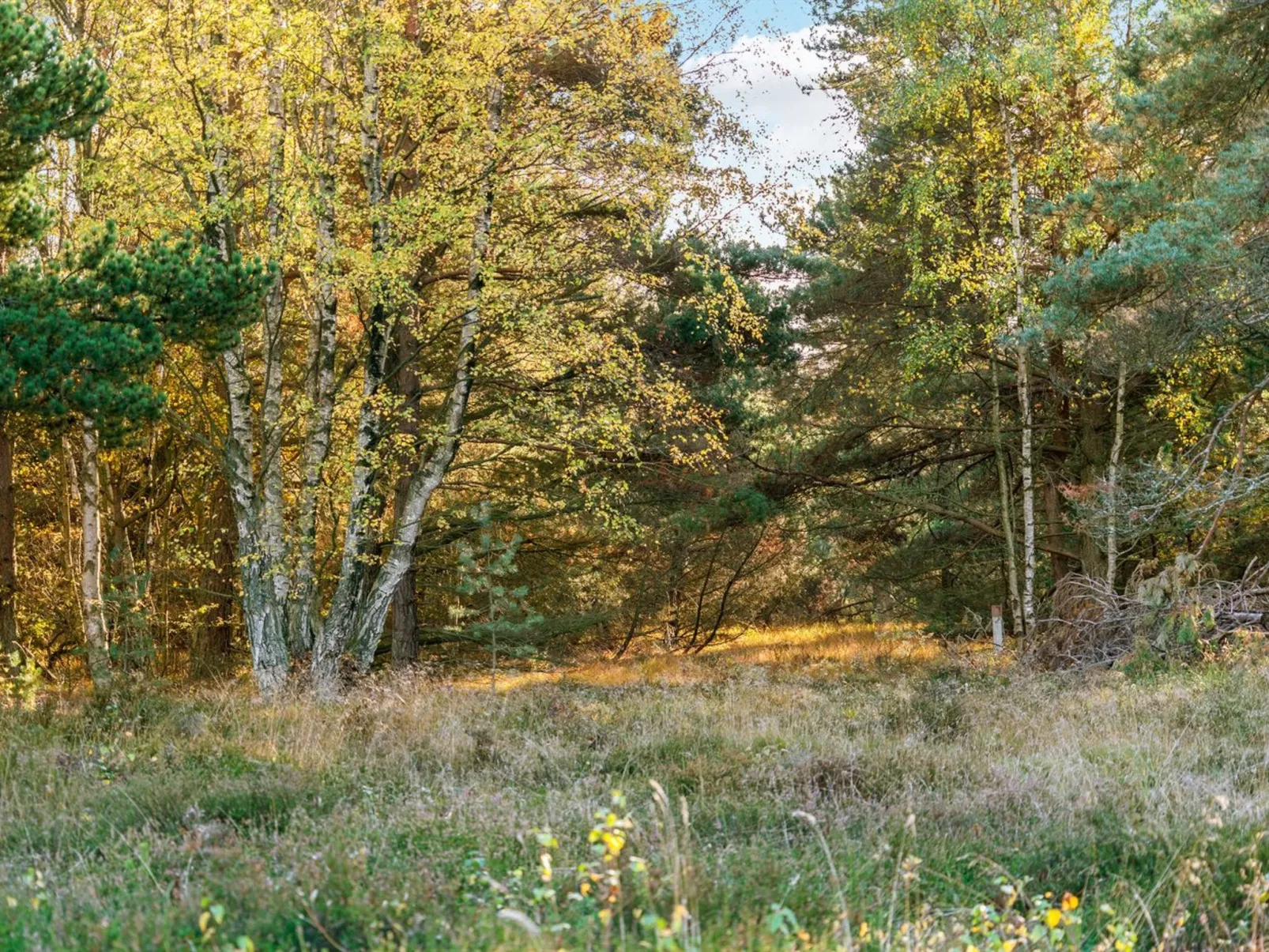 "Helmtrud" - 500m from the sea-Buiten