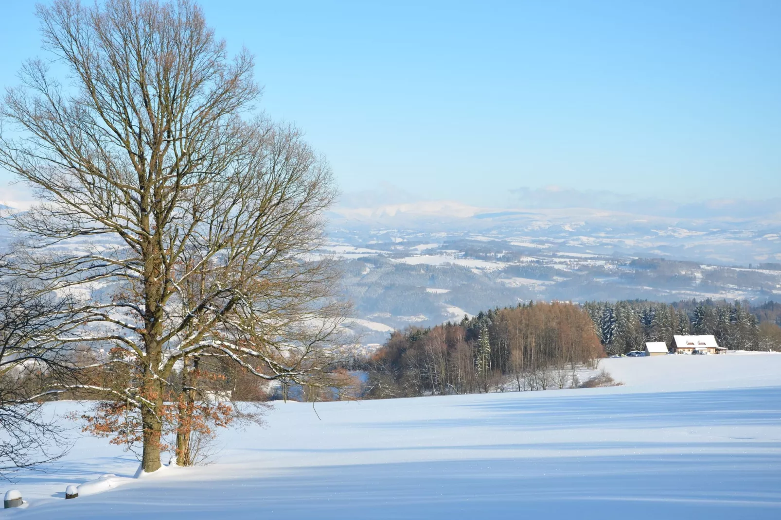 Borivoj-Gebied winter 20km