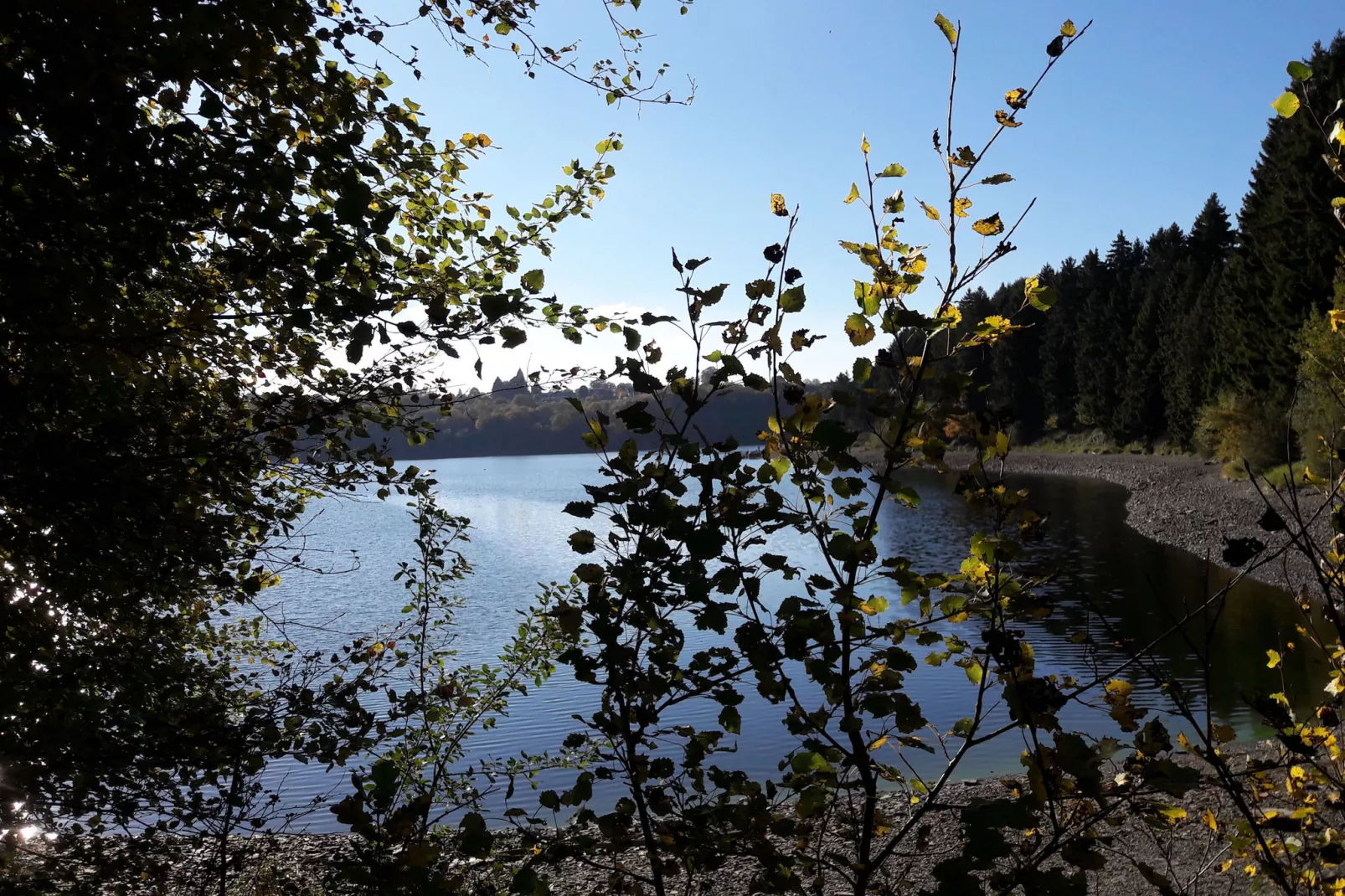 Canneberge-Gebieden zomer 5km