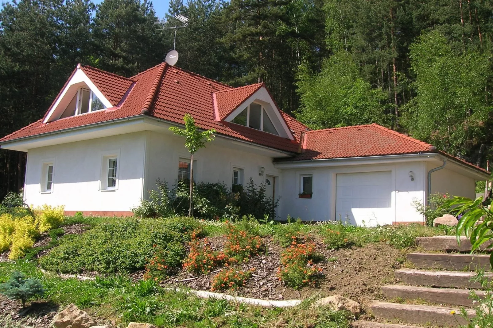 Borivoj-Buitenkant zomer