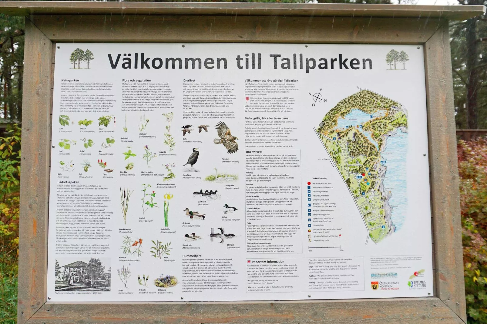 4 persoons vakantie huis in ÖREGRUND-Niet-getagd