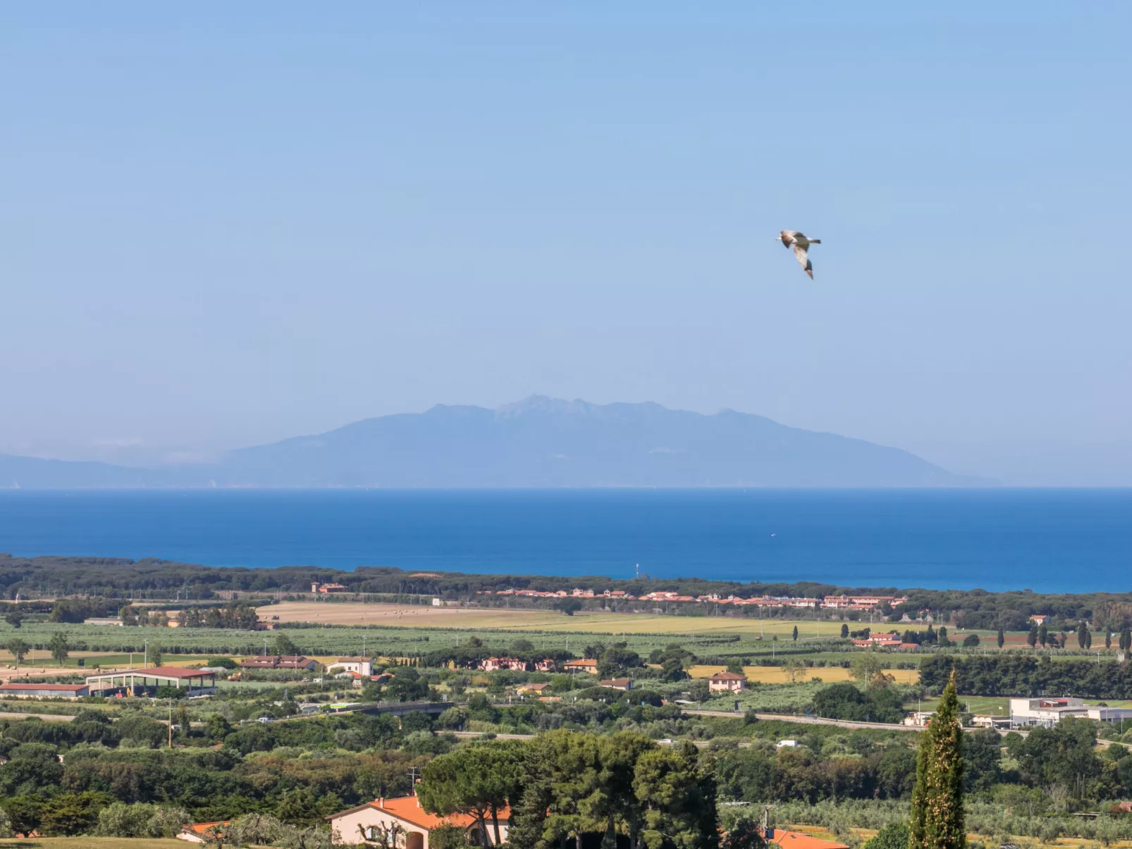 Il Corbezzolo