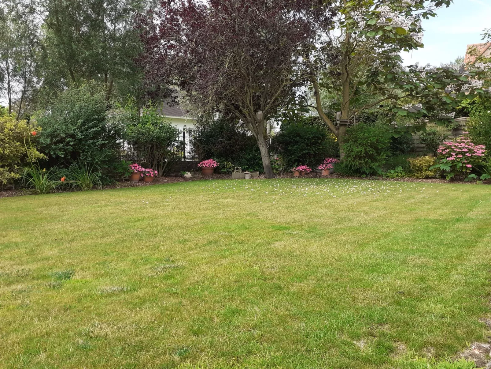Villa Kievit with sauna and parking-Buiten