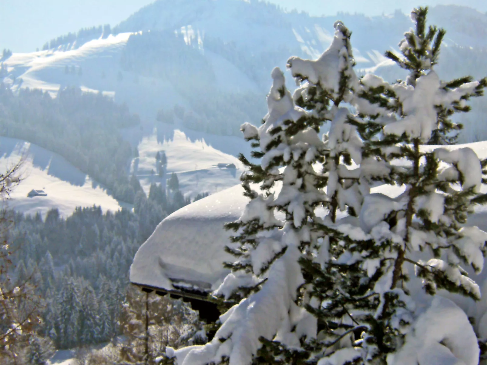 Chalet le Chamois-Buiten