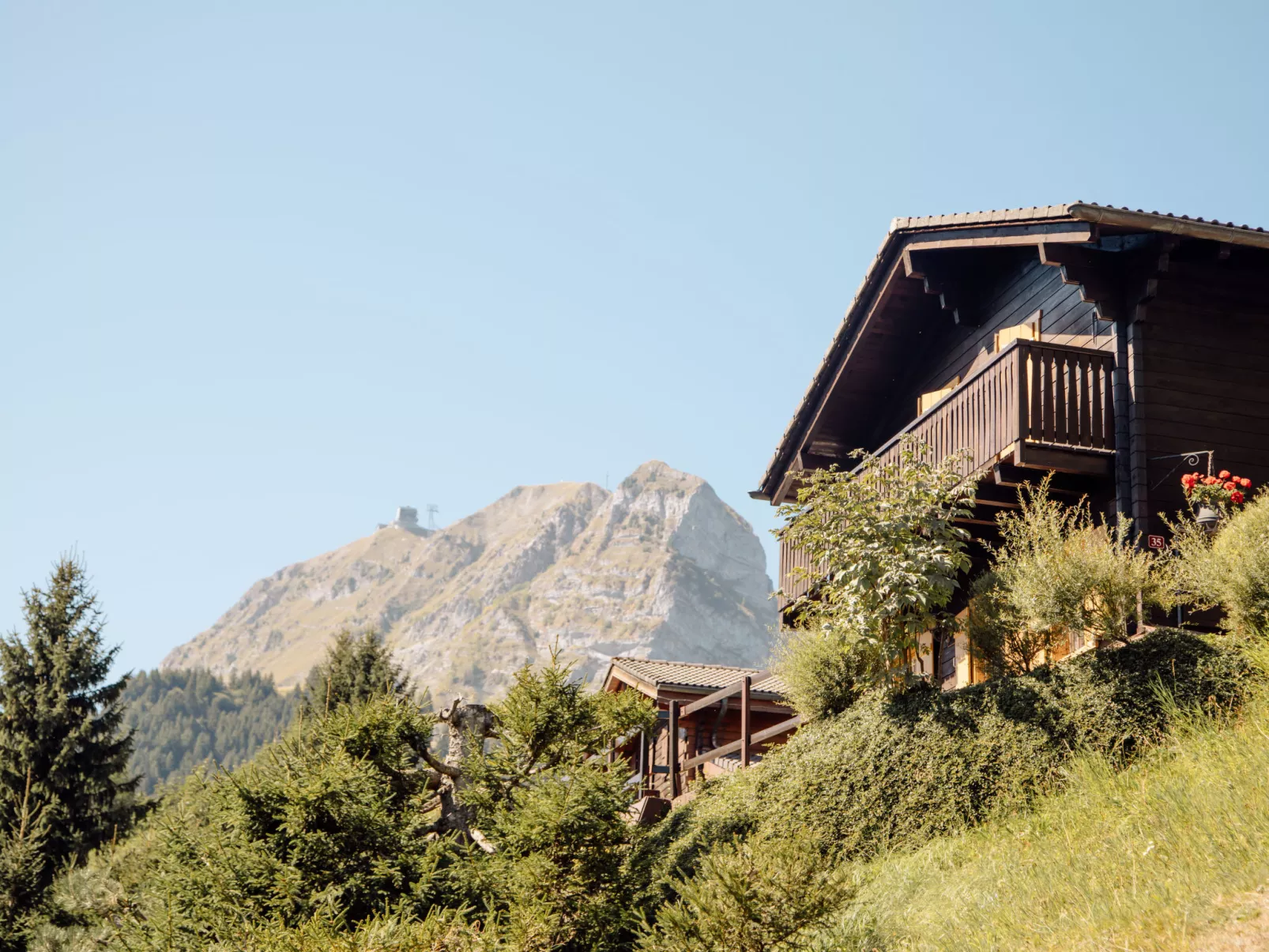 Chalet le Chamois-Omgeving