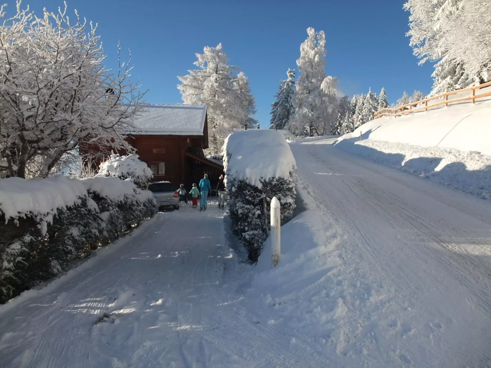 Chalet Zan-Fleuron-Buiten