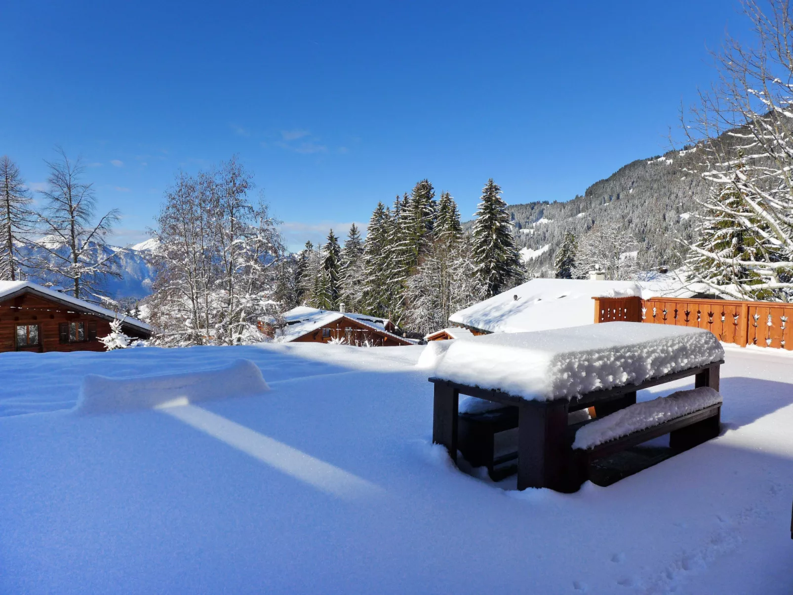 Chalet Petit Pont-Buiten