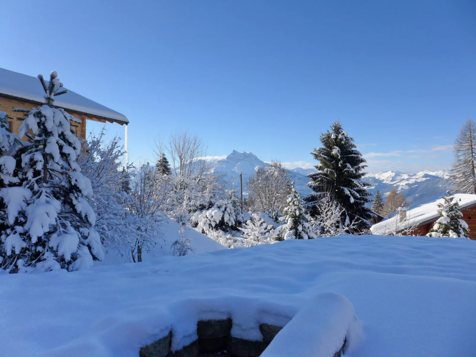 Chalet Petit Pont-Buiten