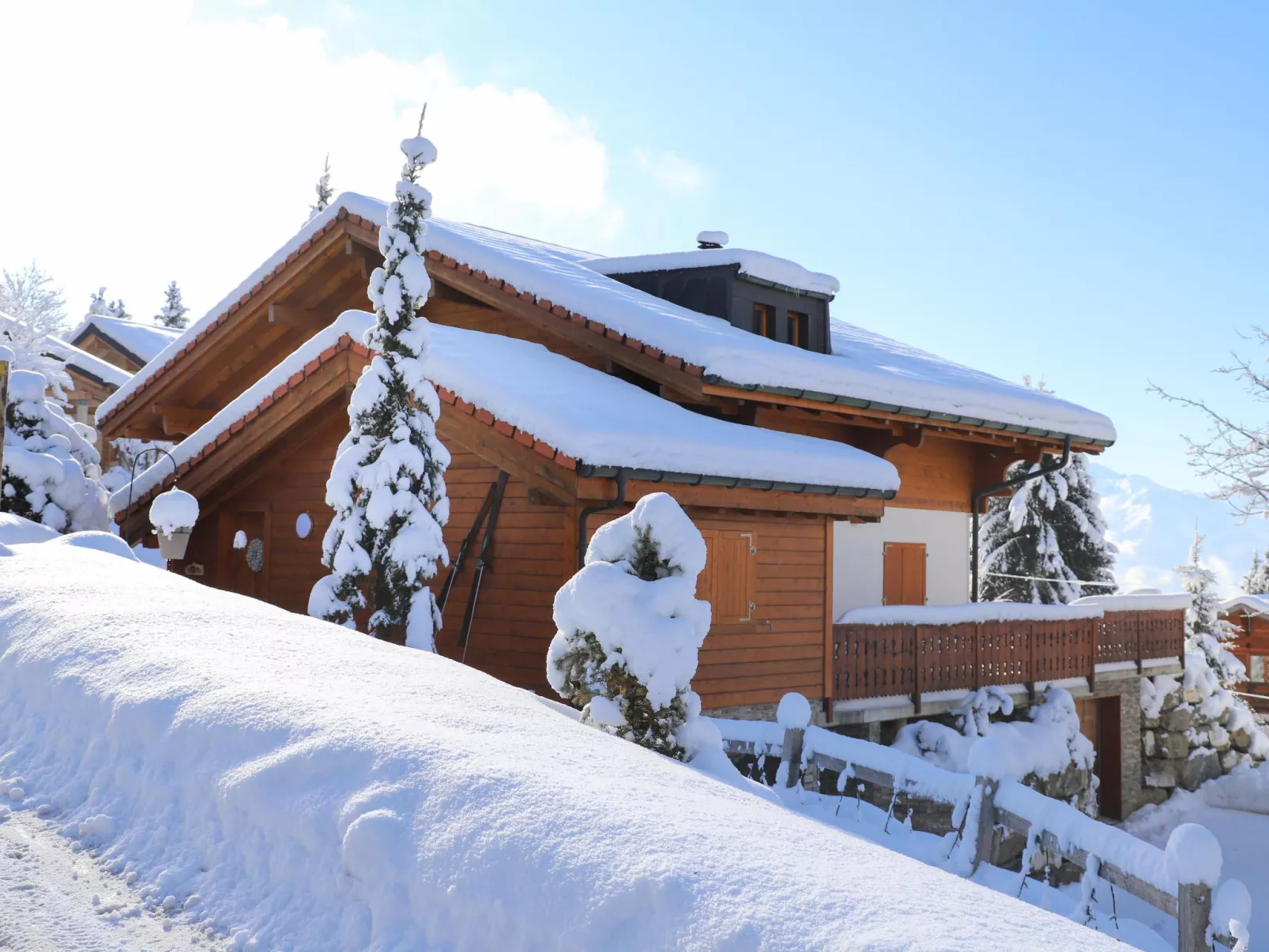 Chalet Petit Pont-Buiten