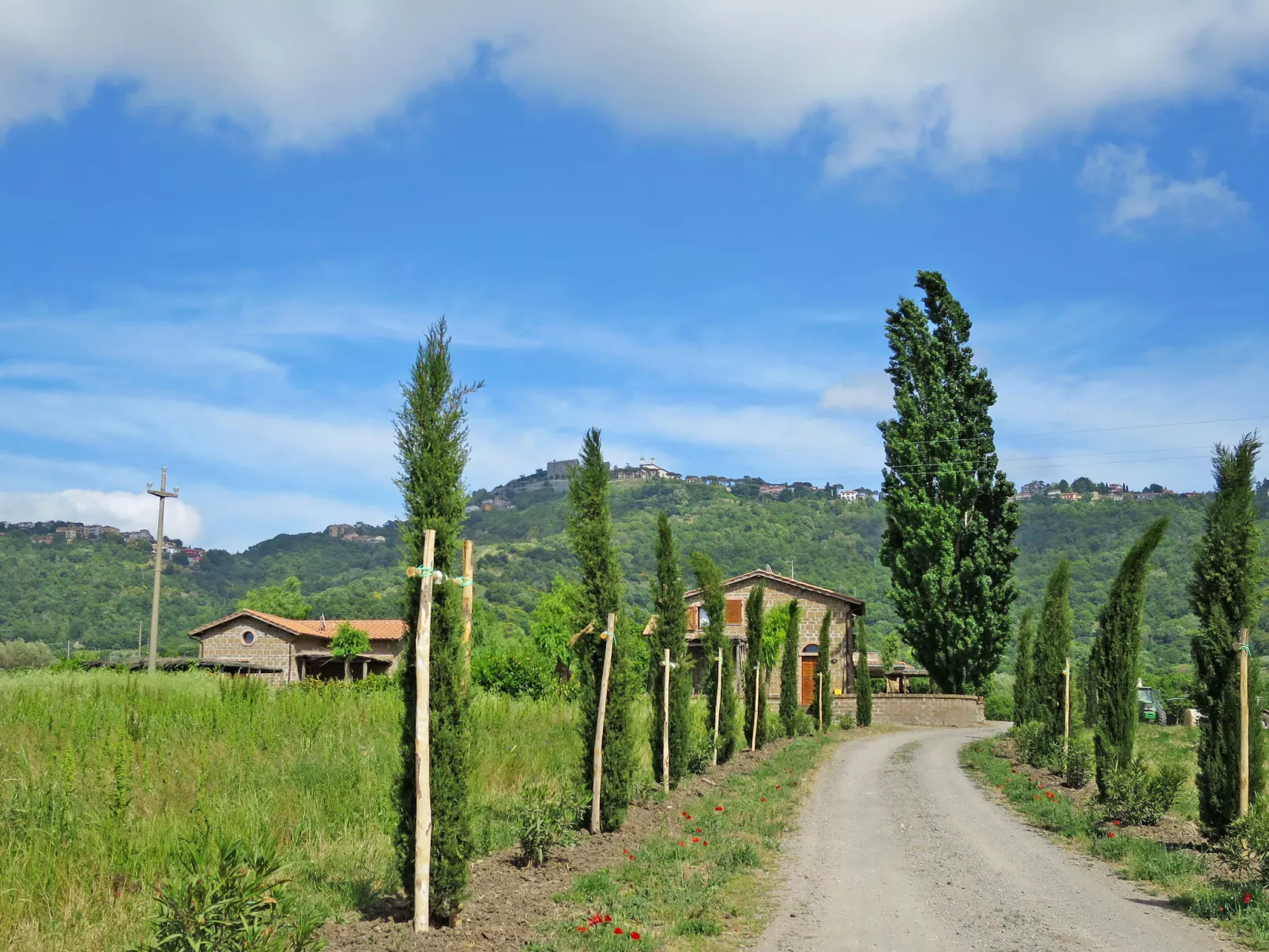 Casa Alessandro n° 6-Buiten