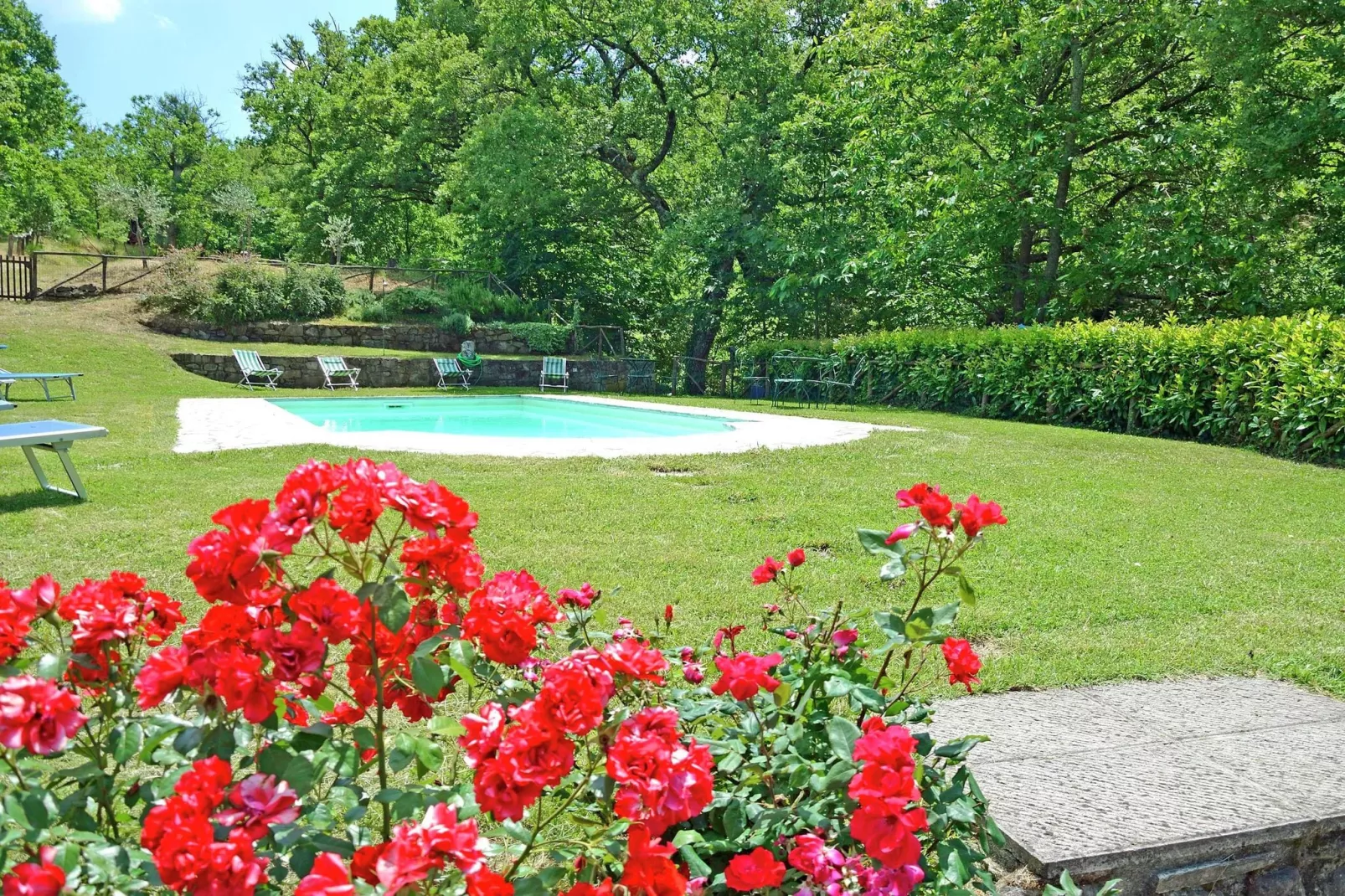 Villa Roseto-Zwembad