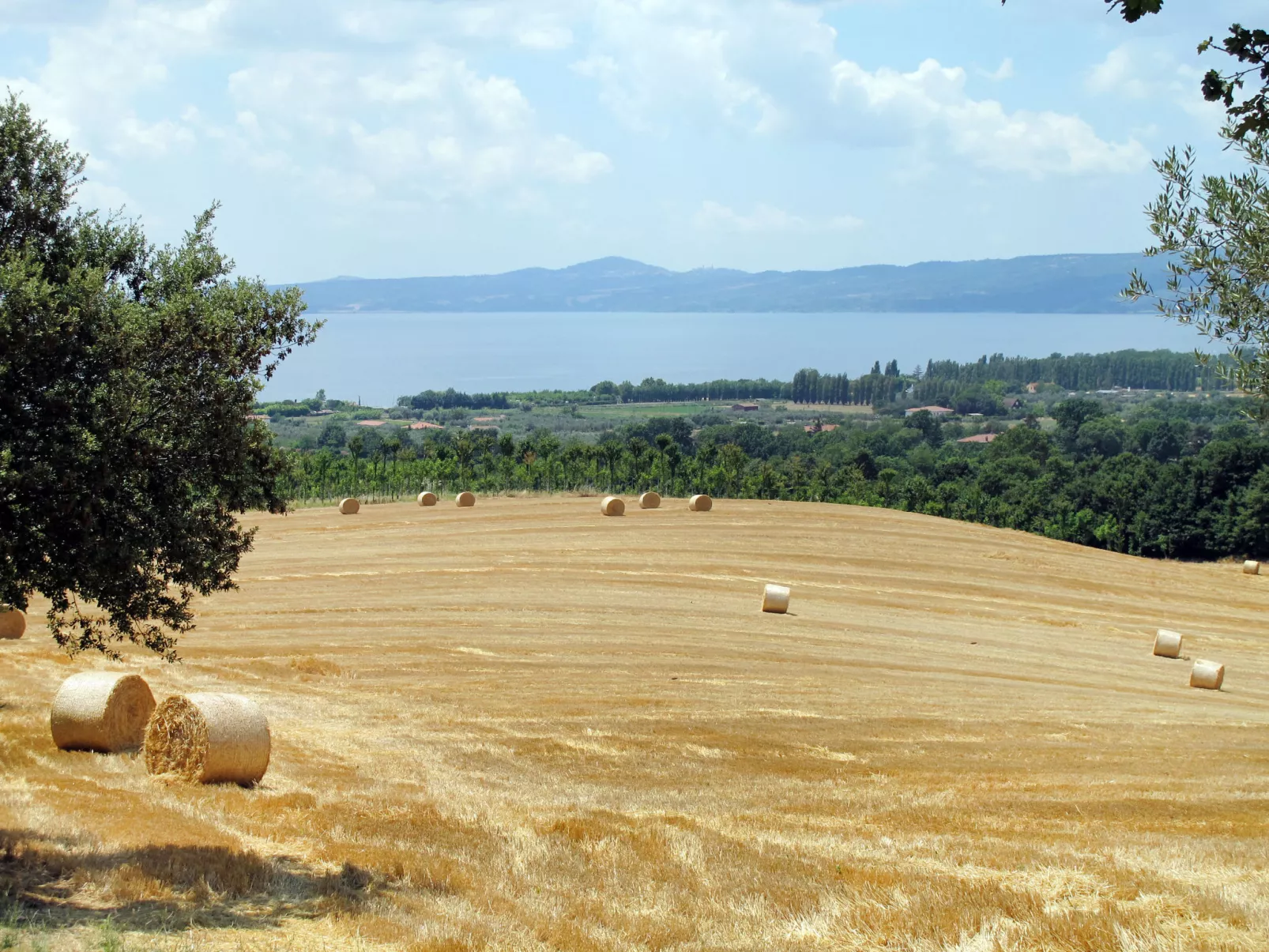 Il Podere del Lago-Buiten