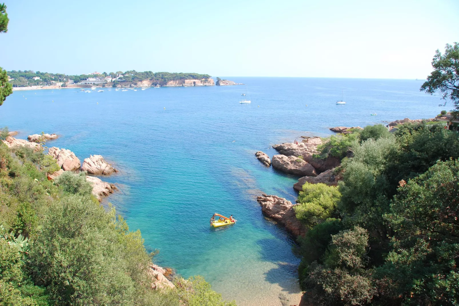 Montecarlo-Gebieden zomer 5km