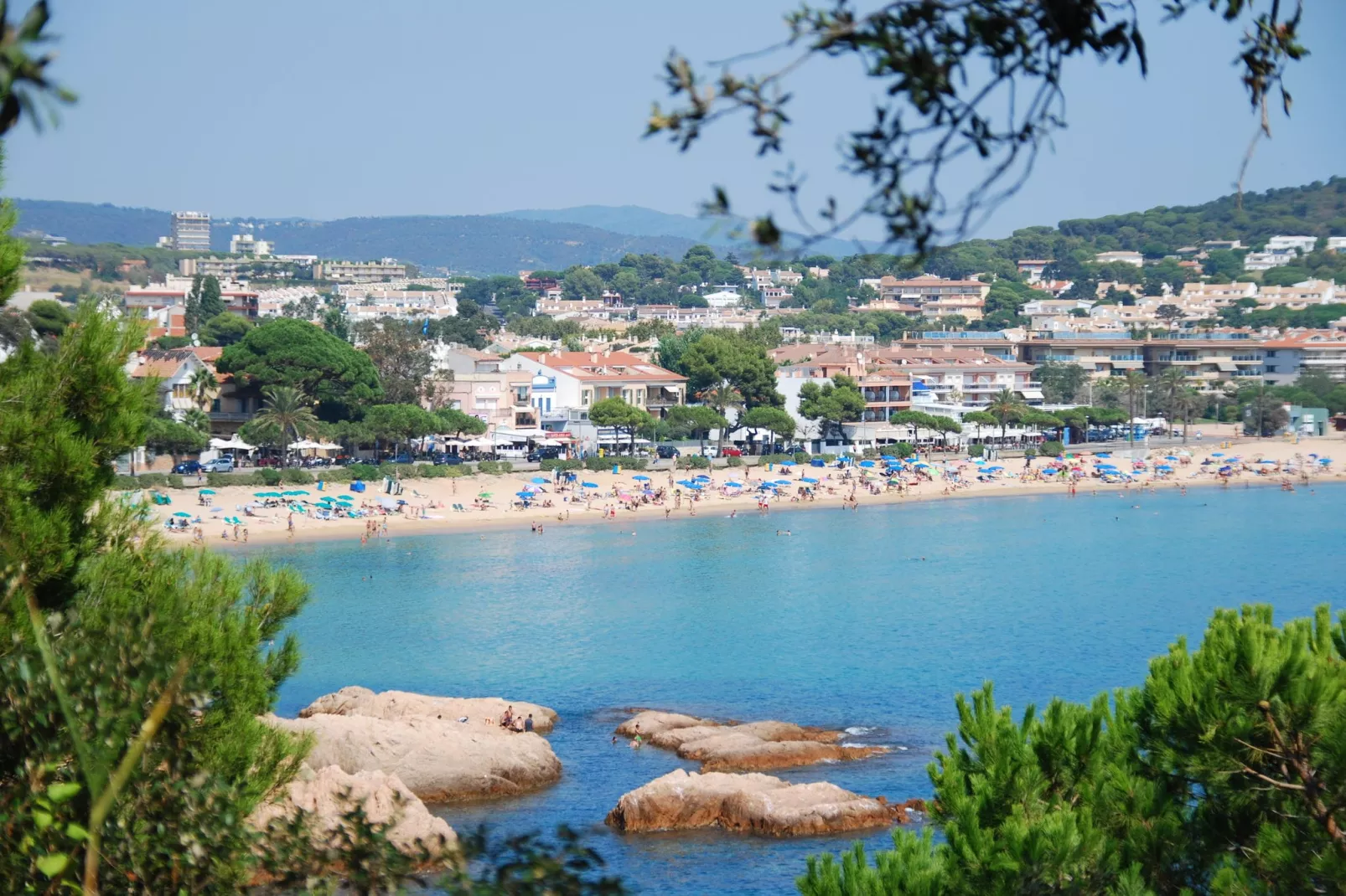 Montecarlo-Gebieden zomer 5km