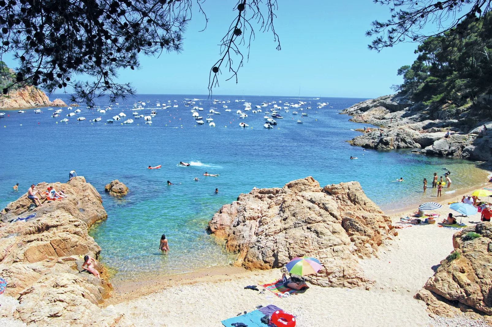 Montecarlo-Gebieden zomer 20km