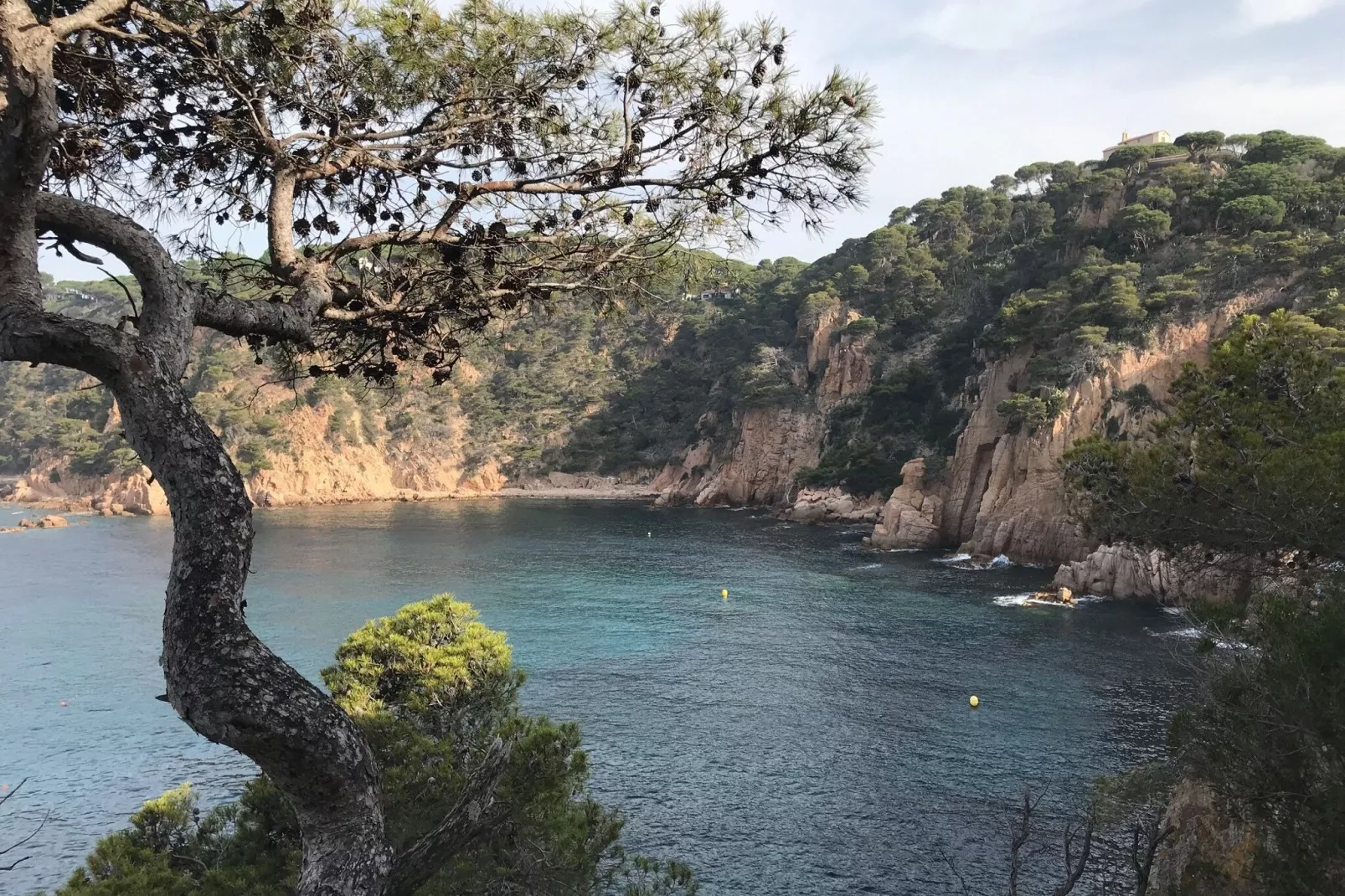 Montecarlo-Gebieden zomer 1km