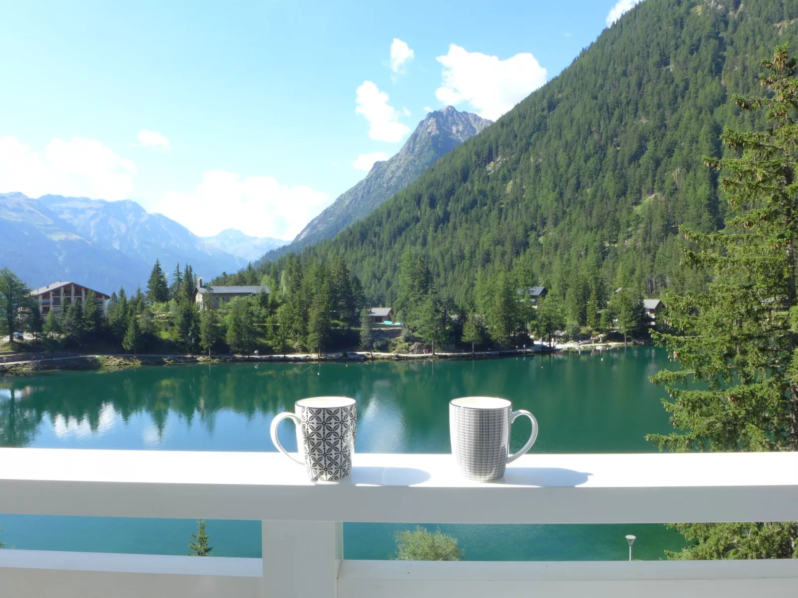 Alpes et Lac 28-Buiten