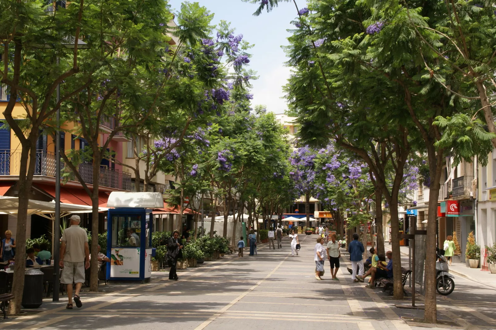 Montecarlo-Gebieden zomer 1km