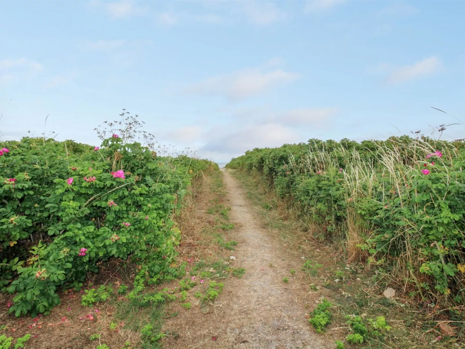 "Ette" - 10m from the sea in Funen-Buiten