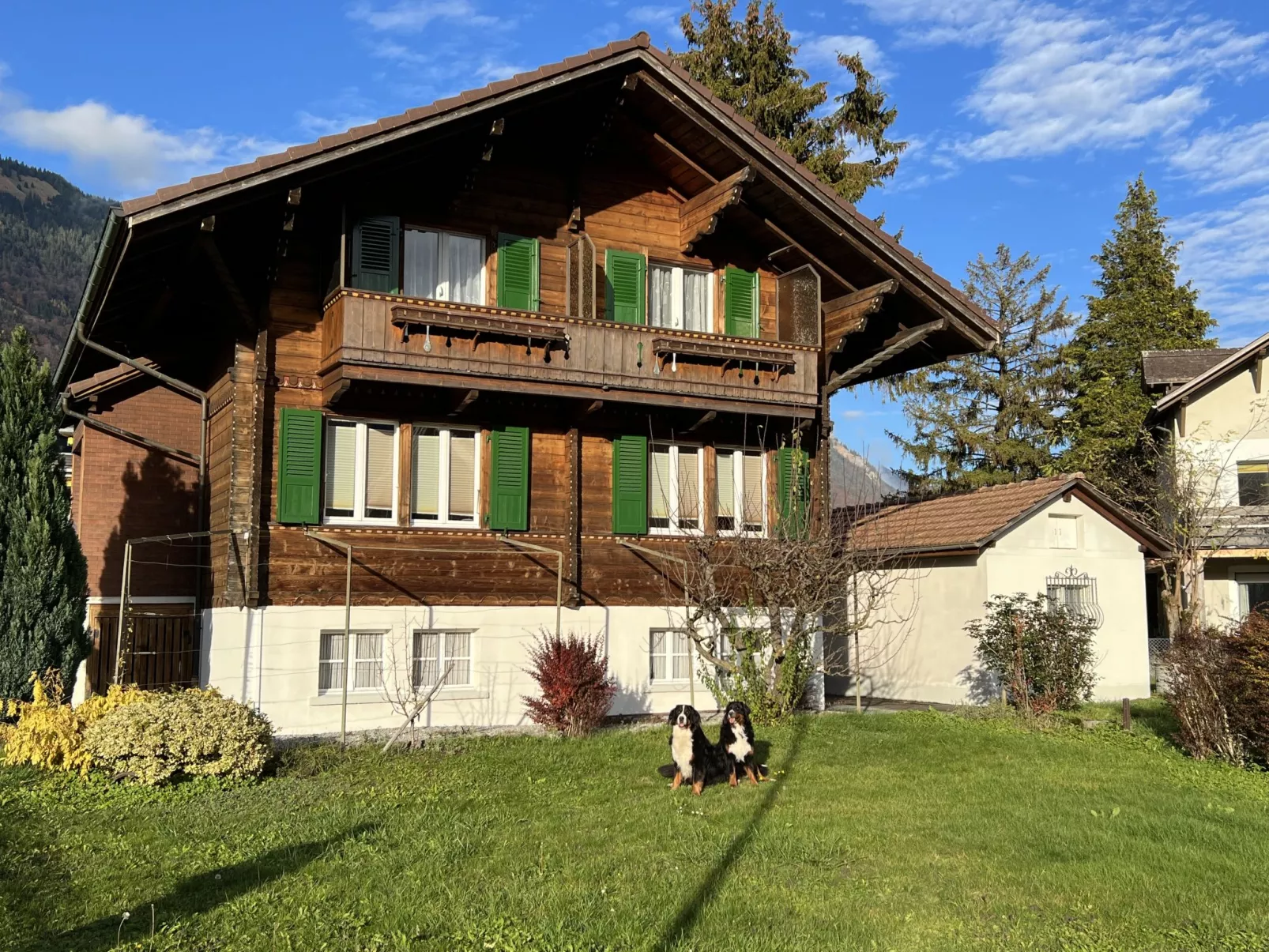 Chalet Dori