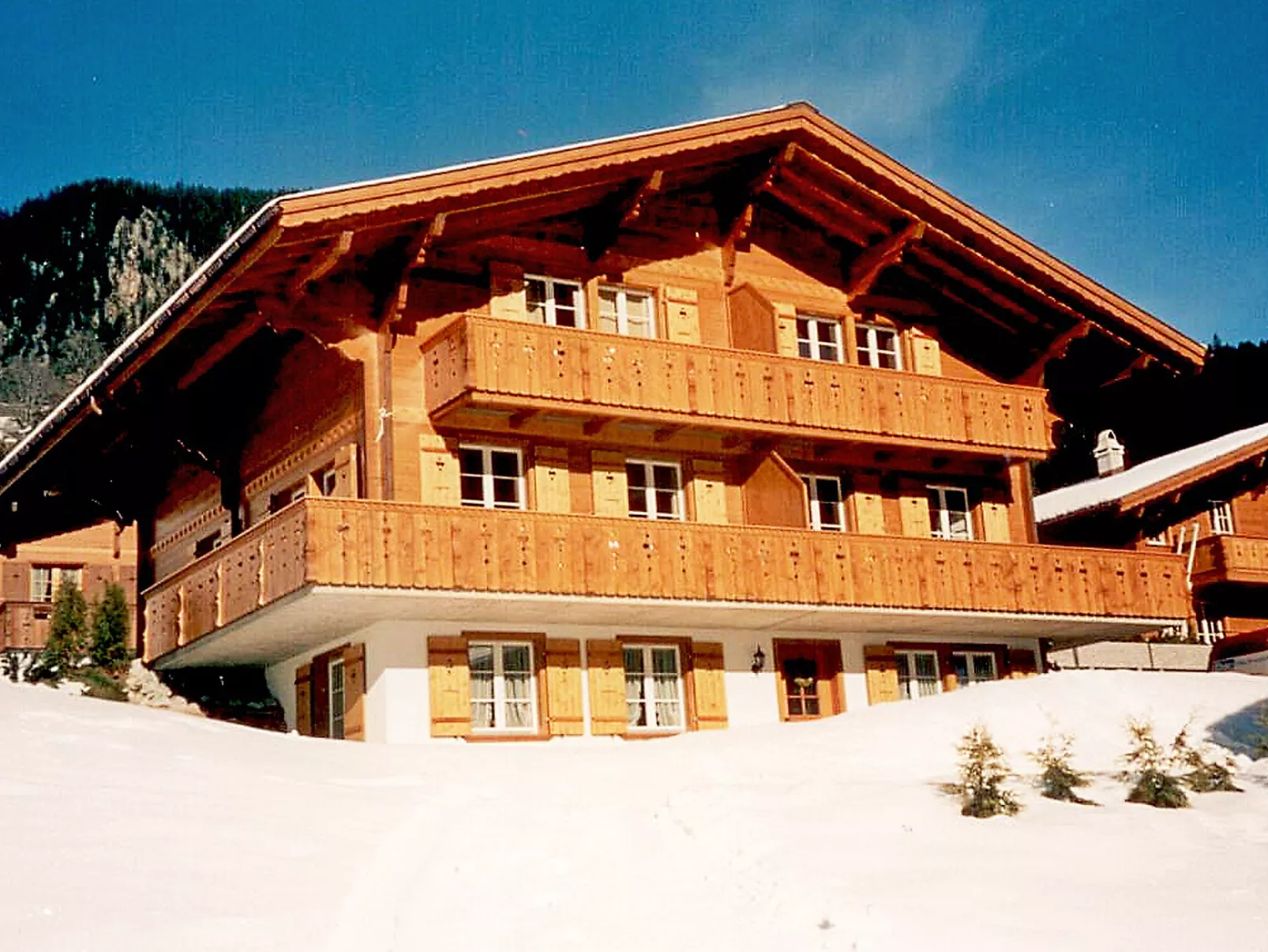 Chalet Mittelhorn-Buiten