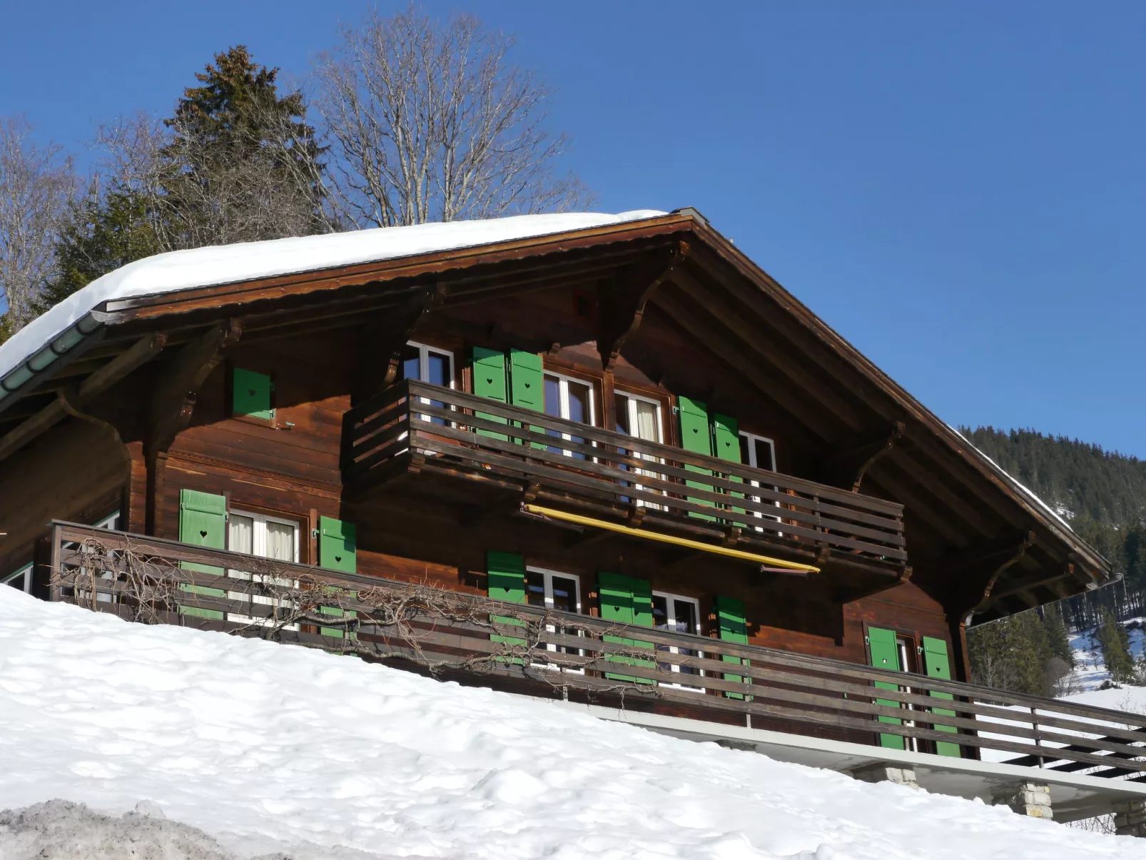 Chalet Pitschun-Buiten