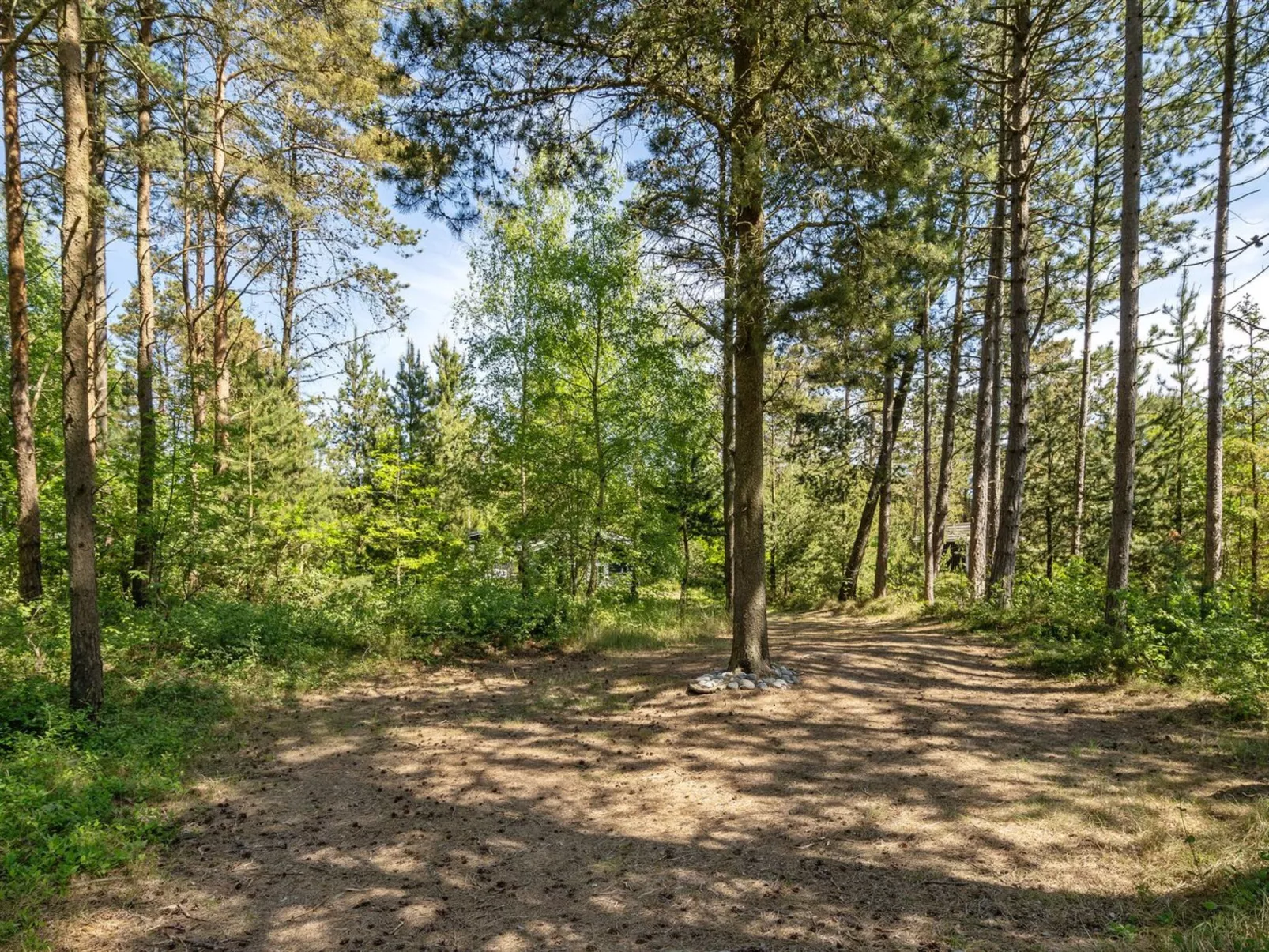"Ascen" - 300m from the sea-Buiten