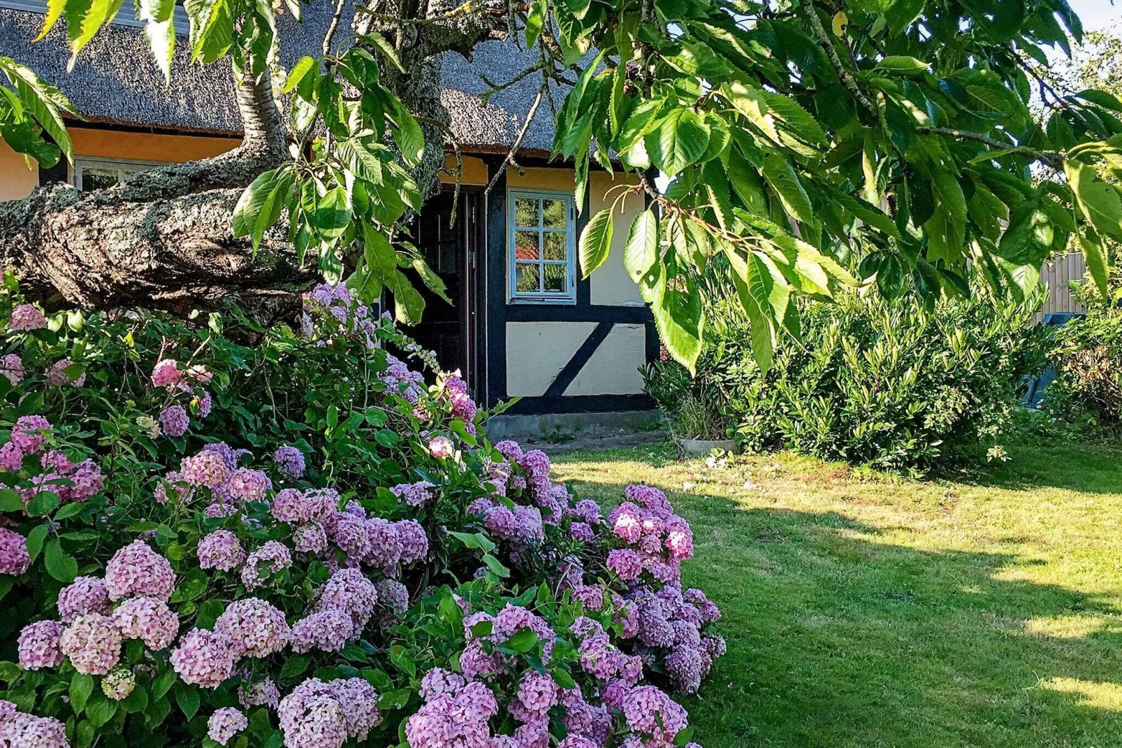 8 persoons vakantie huis in Rudkøbing-Buitenlucht