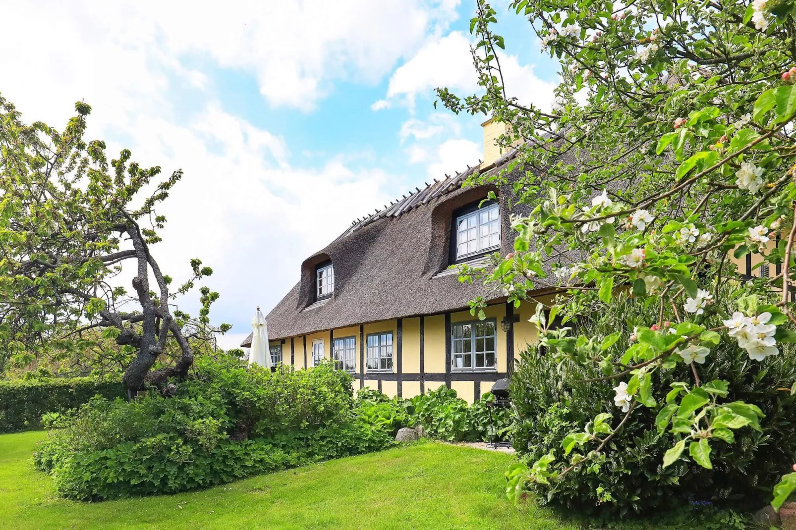 8 persoons vakantie huis in Rudkøbing-Buitenlucht