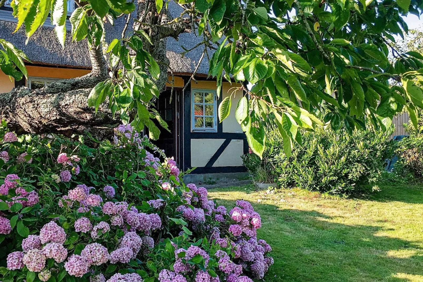 8 persoons vakantie huis in Rudkøbing-Buitenlucht