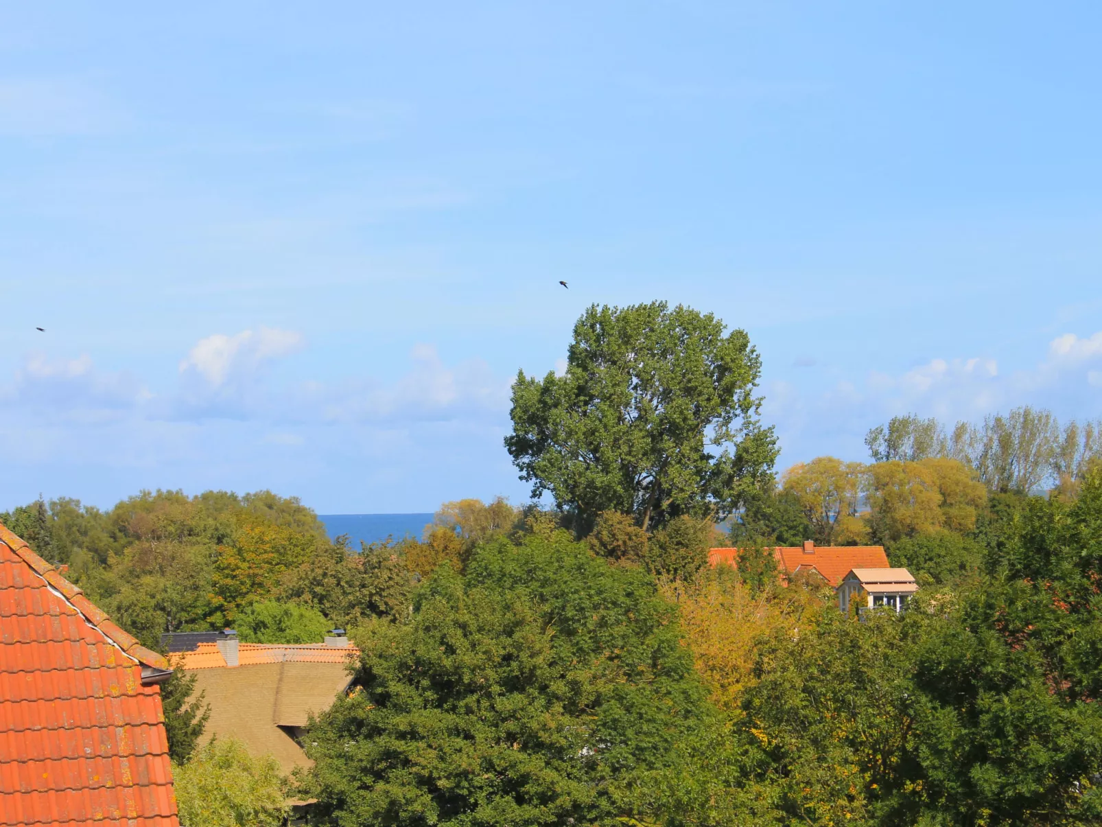 FIP-Ferienpark (Insel Poel)-Buiten