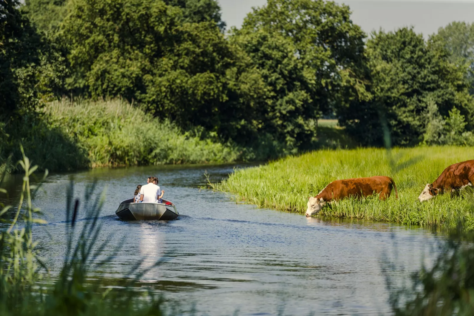 Vakantiepark Mölke 2-Gebieden zomer 1km