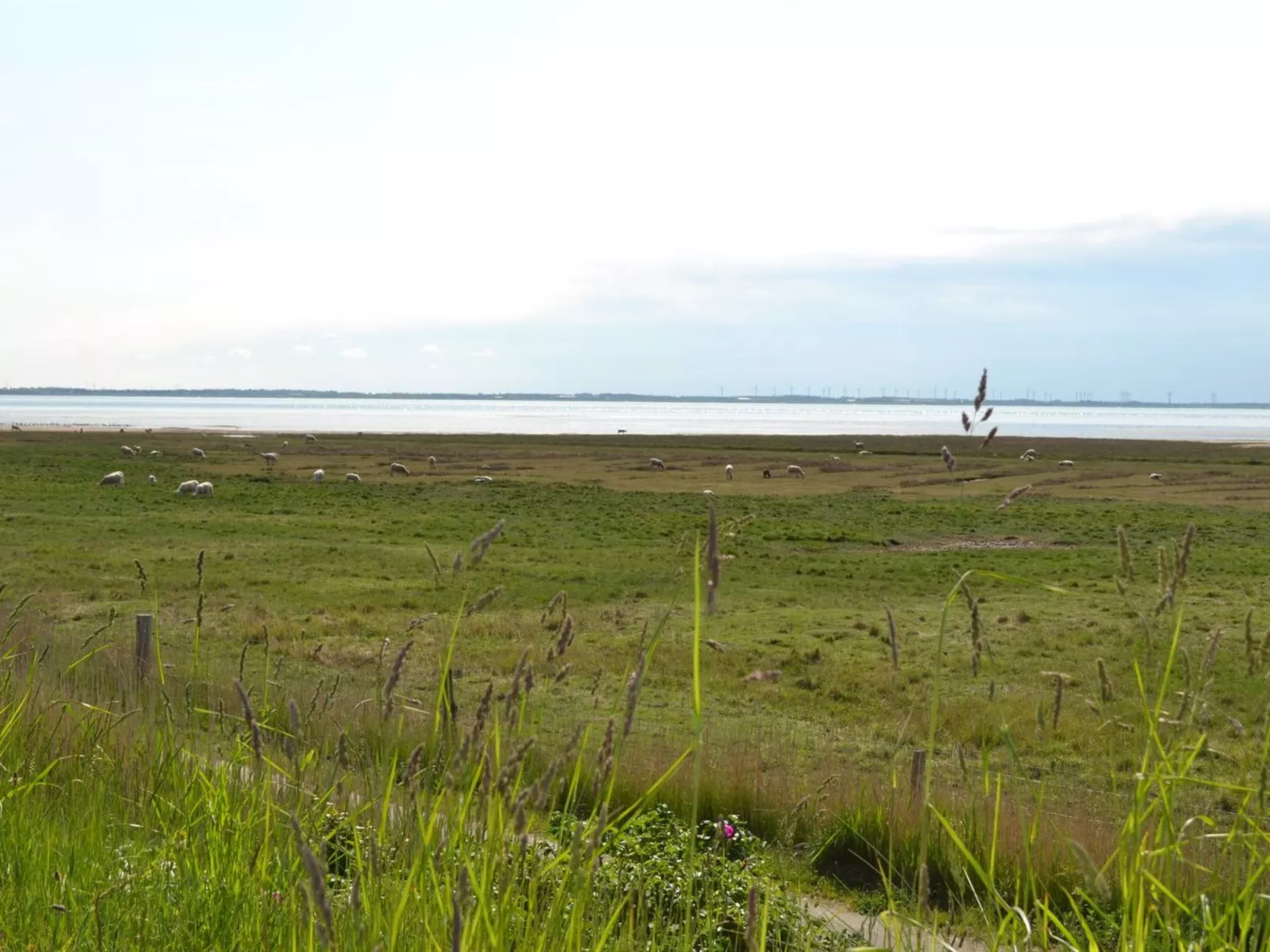 "Gertruda" - 2.3km from the sea-Buiten