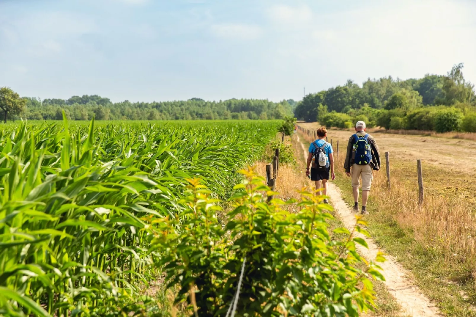 Vakantiepark Mölke 3-Gebieden zomer 1km