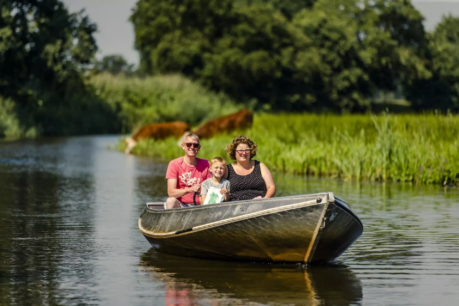 Vakantiepark Mölke 3-Gebieden zomer 1km