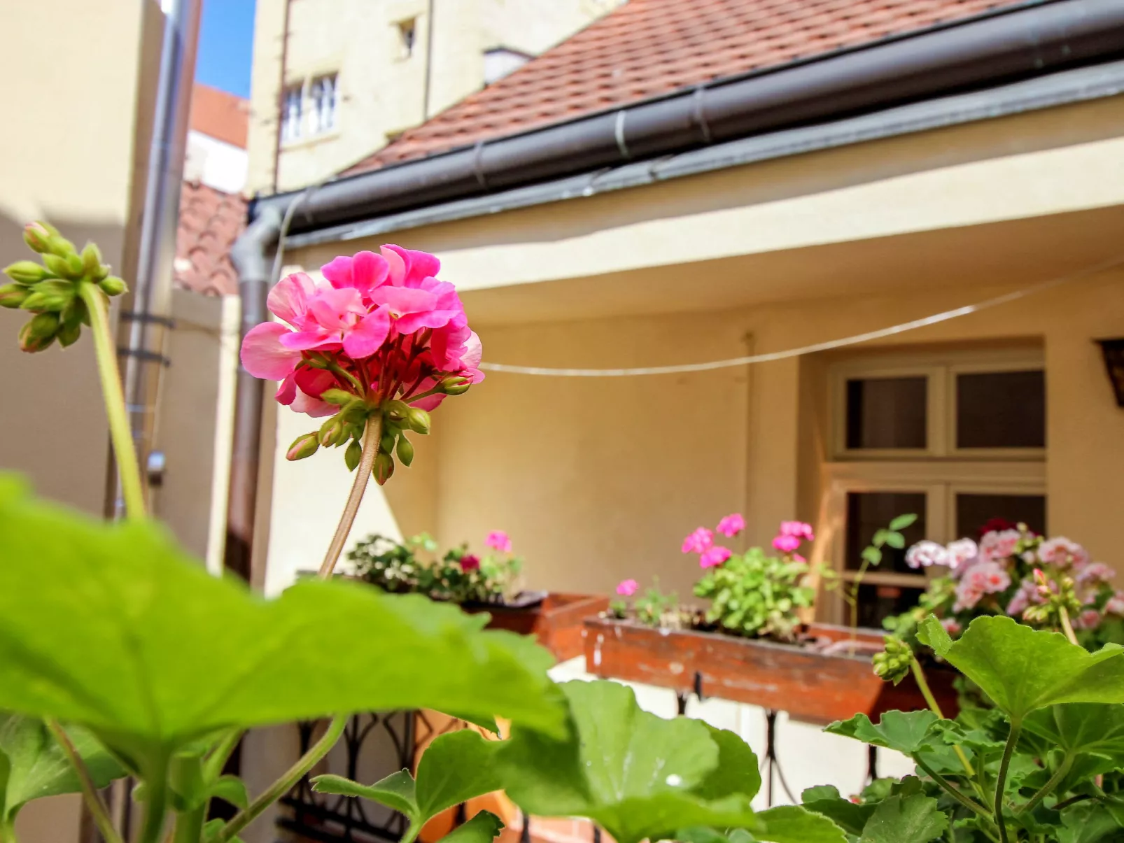 Prague Castle Duplex-Buiten