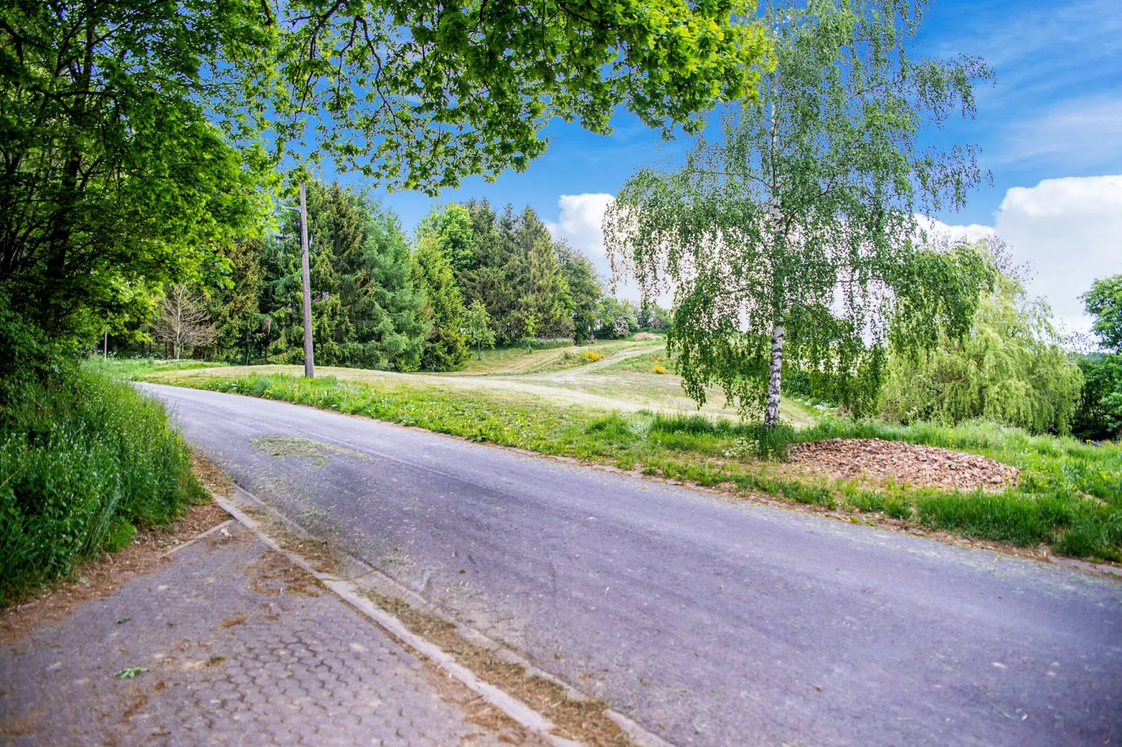 Het Zilver Vosje-Gebieden zomer 1km