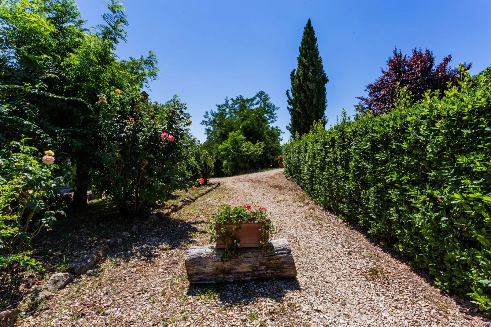 Villino Due-Tuinen zomer