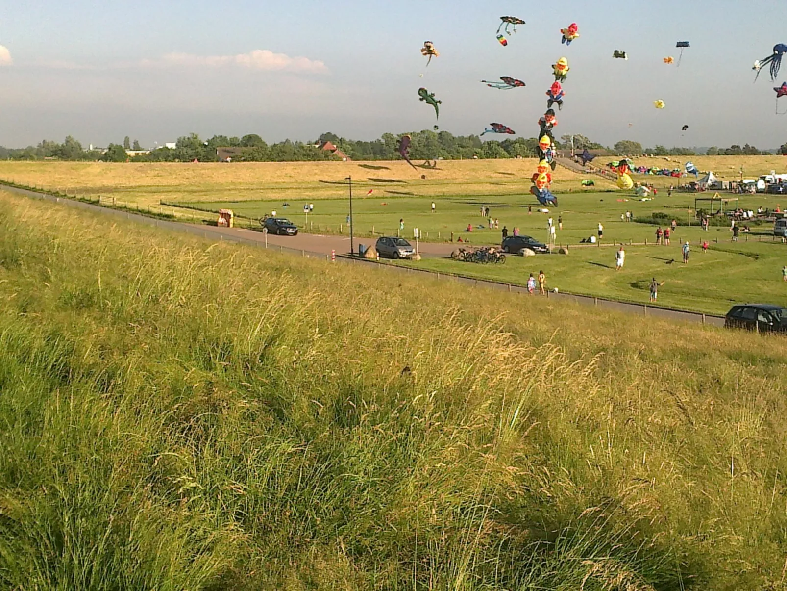 Park Nordseeküste-Omgeving