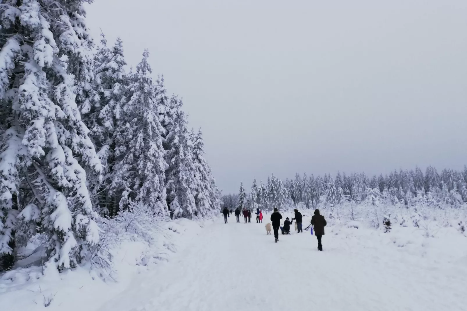 La Tourbière-Gebied winter 1km