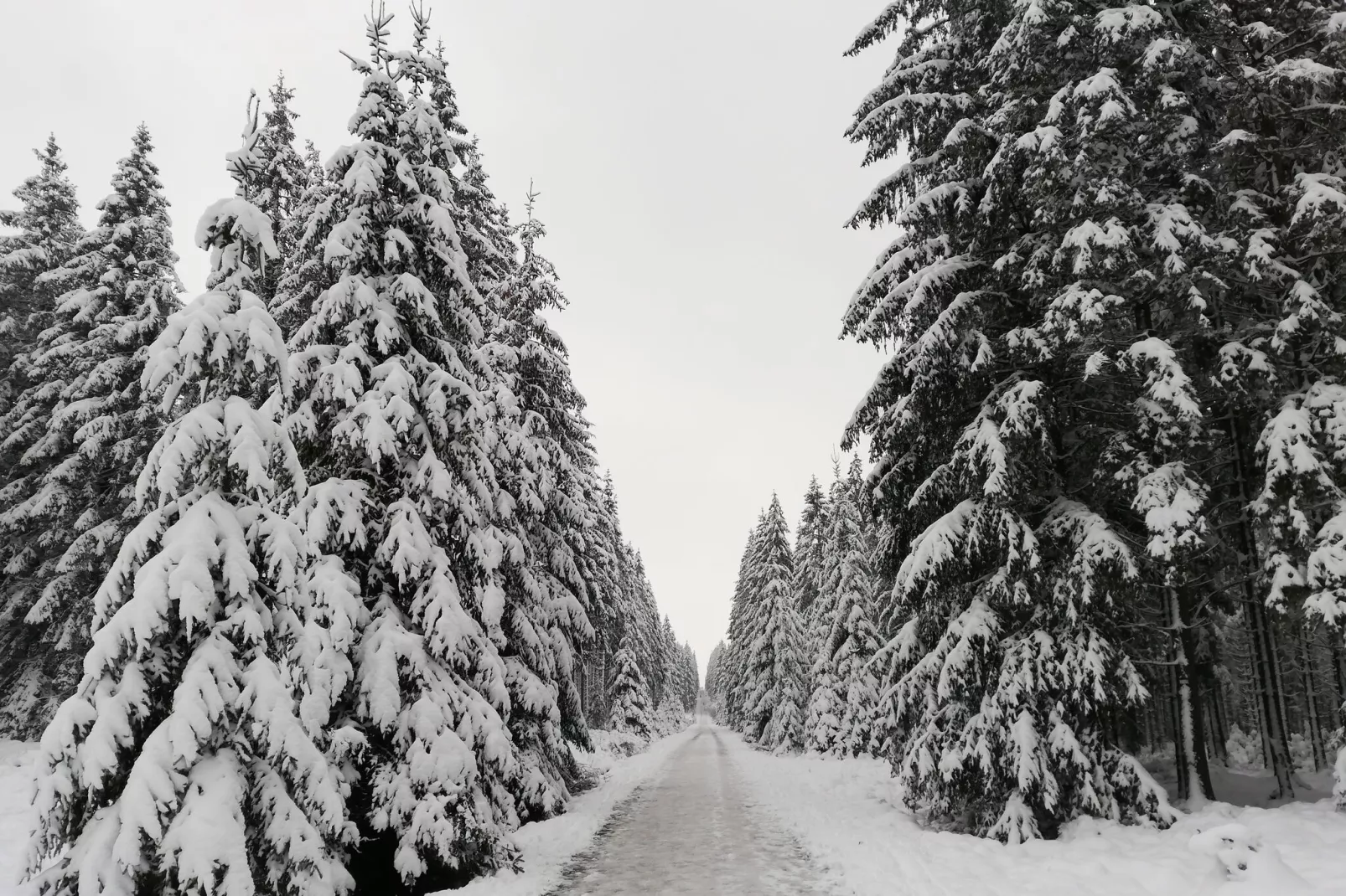 La Tourbière-Gebied winter 1km