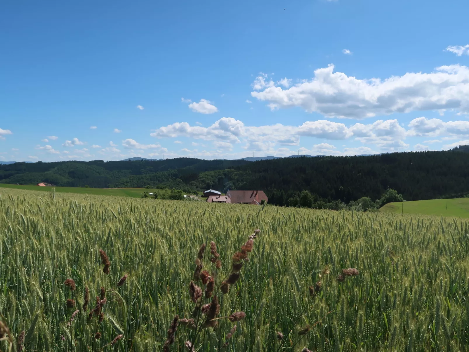 Mittelberghof-Buiten