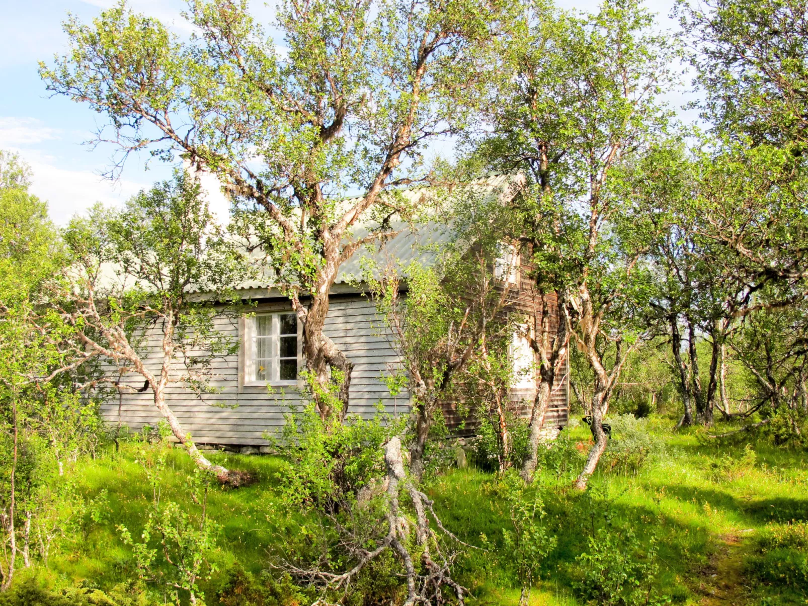 Storsätern Dyllen (DAN080)-Buiten