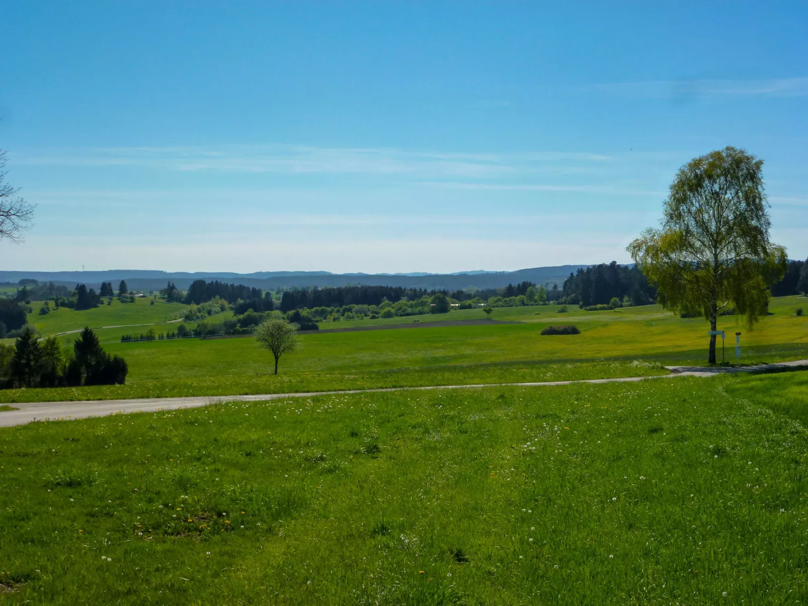 Sonnenschein (B 110)-Buiten